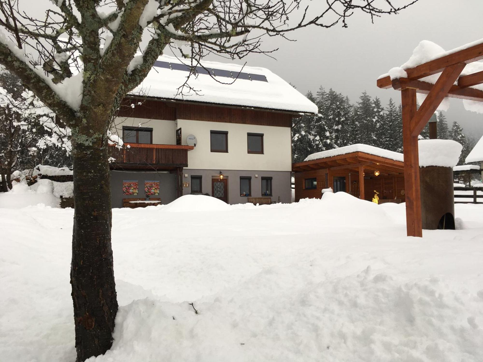 Ferienwohnung Tom's Hütte Presseggersee Exterior foto